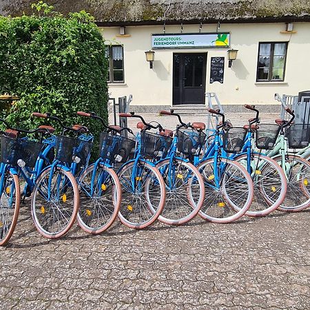 Jugendtours-Feriendorf Ummanz 외부 사진
