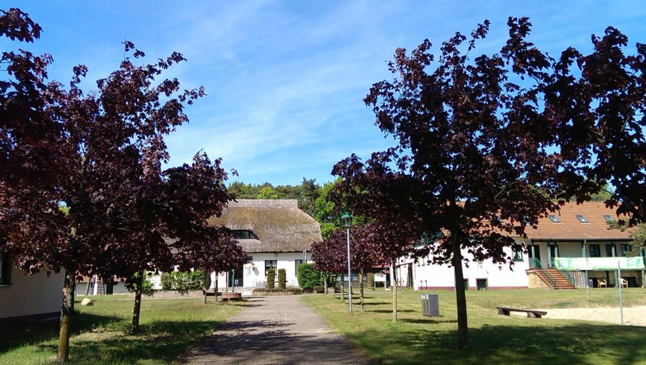Jugendtours-Feriendorf Ummanz 외부 사진