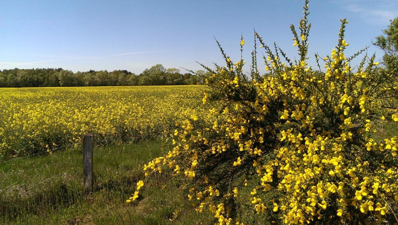 Jugendtours-Feriendorf Ummanz 외부 사진