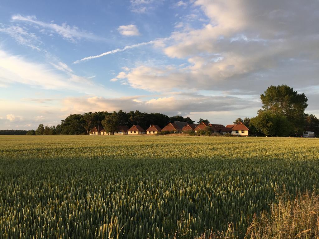 Jugendtours-Feriendorf Ummanz 외부 사진